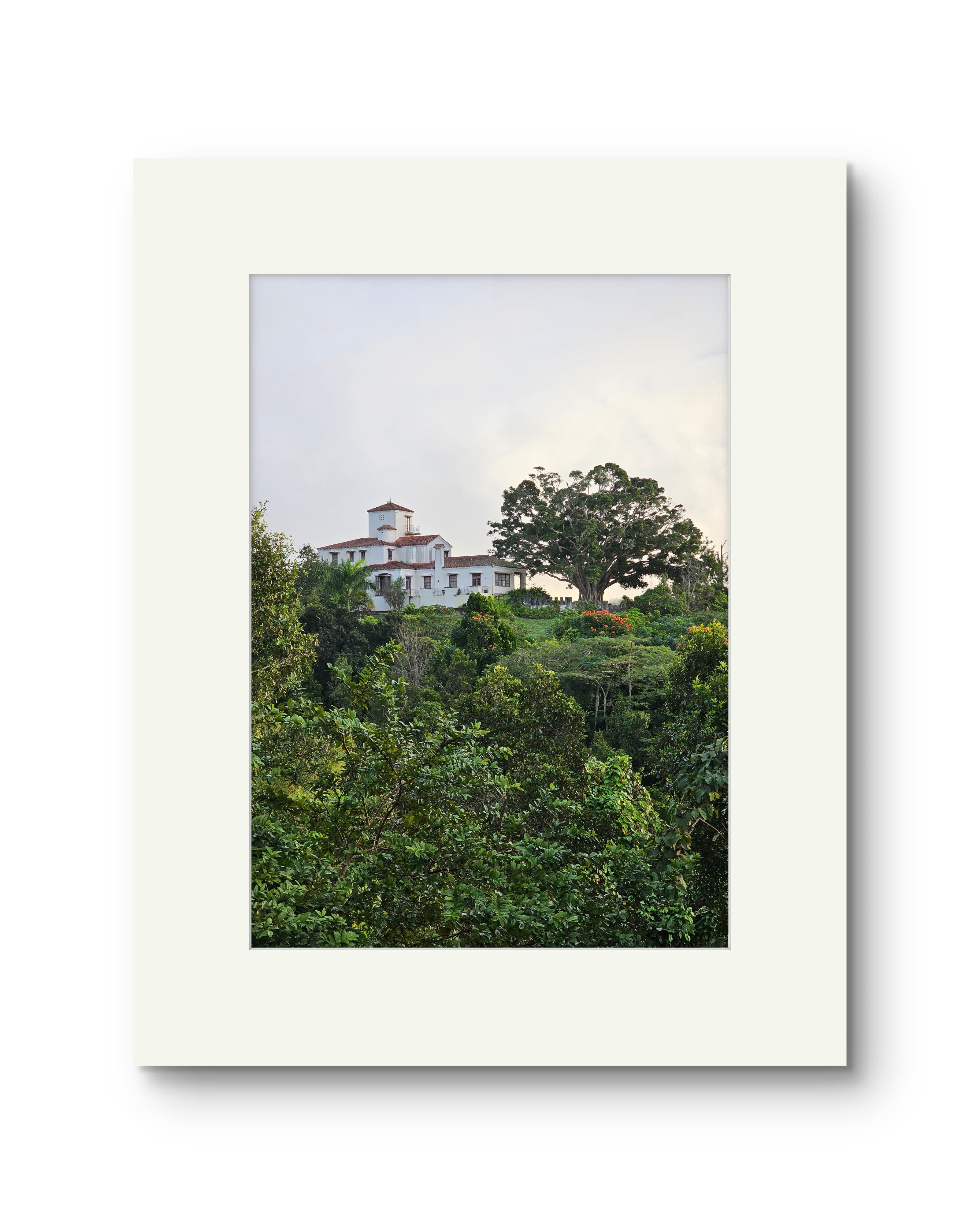 El Cortijo